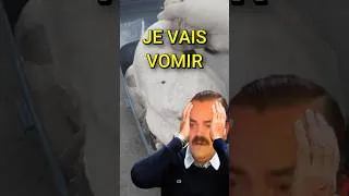 Miniature : Je vais vomir .... (WTF)
