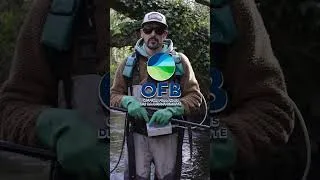 Miniature : 🐟 Truite fario en Bretagne : que nous apprennent 10 années de suivi ?