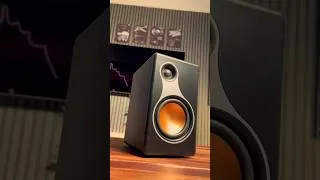 Miniature : Petit format, grand son : L'AIYIMA S500