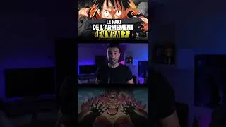 Miniature : Avoir le Haki de l’armement en vrai, c’est possible ?