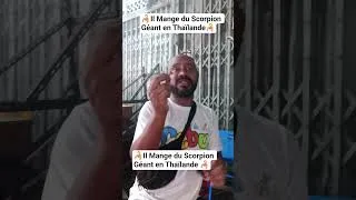 Miniature : 🦂Il Mange du Scorpion Géant en Thaïlande 🦂🎉 Délicieusement Votre🎉