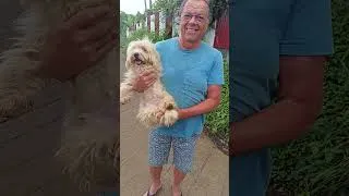 Miniature : Mr RIVIÈRE parle de Virgule à la Pension Canine / Féline des Chouchoutés de l'Empereur  #doglife