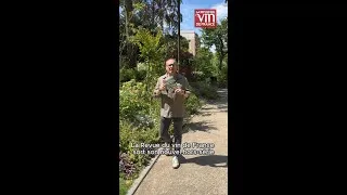 Miniature : Nos 300 adresses dans le vignoble pour l'été !