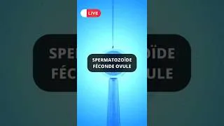 Miniature : Fécondation in vitro FIV