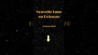 Miniature : Nouvelle lune en Poissons: quelque chose devient évident