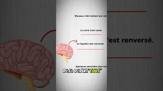 Miniature : Intelligence artificielle et bon sens