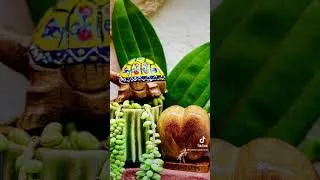 Miniature : Quand j’ai des amis qui me raménent des produits des Seychelles. #seychelles #seychellesislands