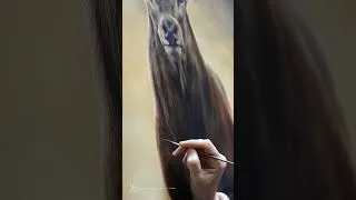 Miniature : #Shorts - Réalisation d'un #portrait d'un Cerf "Brume" à la #peintureàlhuile par Marion Tubiana