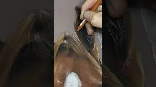 Miniature : #Shorts - Réalisation d'un #portrait de cheval "Ceramic" en crayons #pastel par Marion Tubiana