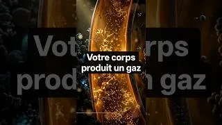 Miniature : Ce gaz protège vos artères (et comment le stimuler)