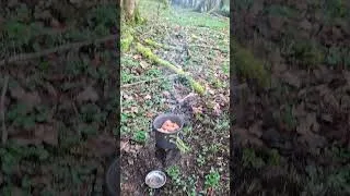 Miniature : petite journée nature.#bivouac #naturelovers #ancrage
