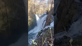 Miniature : Saut de l'Ognon