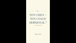 Miniature : Promener ton chien change tes hormones après 40 ans