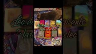 Miniature : Venez découvrir les nouveaux Tarots & Oracles arrivés à la maison 😉🔮