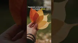 Miniature : Les Secrets des Couleurs d’Automne Révélés 🌳 #forêt  #feuilles  #carotene