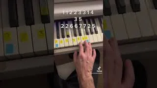 Miniature : Tuto main droite piano - rétine de Amir