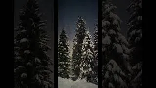 Miniature : C'était l'hiver ....une belle chanson écrite par Francis Cabrel, interpretée à ma façon ☺️