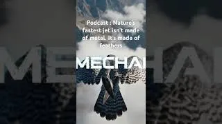 Miniature : Discover the secret engineering of the Peregrine Falcon in the first episode of BIO-MECHANICS.