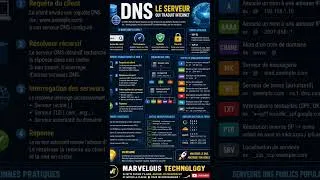 Miniature : Comprendre le DNS