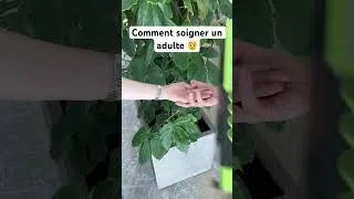 Miniature : Important de prendre soin de sa santé. 🤒
