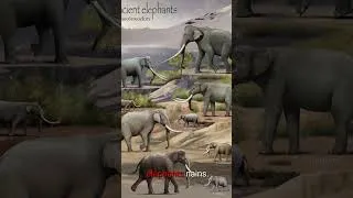 Miniature : Top 5 des créatures qui viennent d'un animal réel