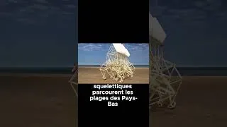 Miniature : Découvre les Strandbeest de Theo Jansen en action !