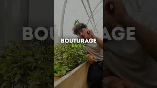 Miniature : Tu as peur de manquer de basilic pour tes recettes d'été ? 🌿