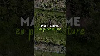 Miniature : Que de chemin parcouru depuis le premier jour ✨