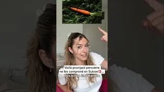 Miniature : Voilà pourquoi personne ne les comprends en Suisse🇨🇭...