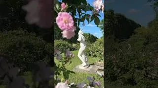 Miniature : 🌹 Une symphonie de couleurs et de parfums floraux dans la Roseraie du Jardin des Plantes ! #roses