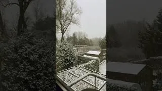 Miniature : ❄️ Tempête de neige en Belgique, 15février 2026 inoubliable 🇧🇪#Neige #Belgique #Météo #Hiver