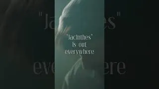 Miniature : JACINTHES OUT NOW