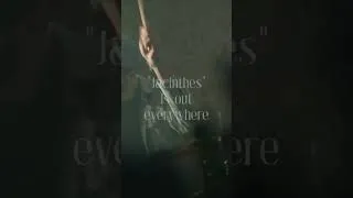 Miniature : « Jacinthes » available everywhere