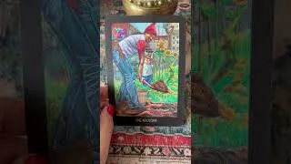 Miniature : ⭐ Le message du jour (tirage tarot) #tirage #tiragedujour #guidance #intuitive