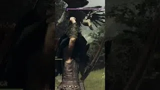 Miniature : La joie des voyage en chars à boeuf ! - #dragondogma2 #gaming #shorts