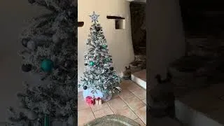 Miniature : Joyeux Noël à tous