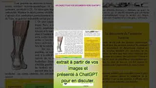 Miniature : ChatGPT File Uploader: Propulsez vos Documents vers ChatGPT en un instant ! #shorts