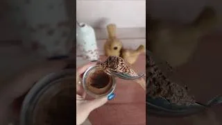 Miniature : Pénurie d’œufs en France ?👉 Pas besoin de paniquer.Cette mousse au chocolat est faite sans œufs !