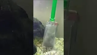 Miniature : Un aquarium toujours propre !