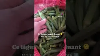Miniature : Comment cuisine l'okra / gombo | Cuisine santé africaine et asiatique