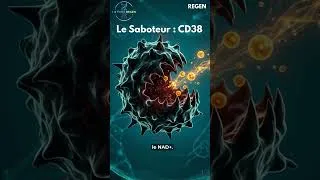 Miniature : Qui VOLE l’énergie de vos cellules ?