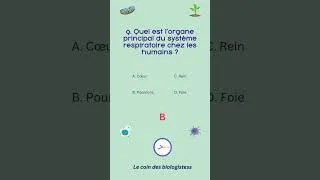 Miniature : Quiz 9