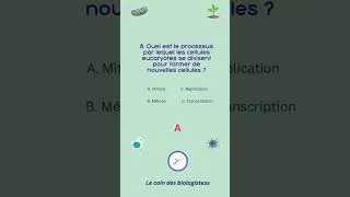 Miniature : Quiz 8