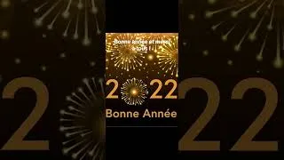 Miniature : 1 janvier 2022