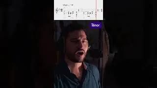 Miniature : LE passage le plus connu du Requiem de Mozart