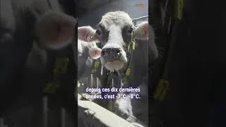 Miniature : Témoignage de l'agriculteur Christian Chevalier