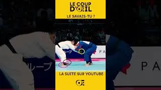 Miniature : Le savais-tu ? #2