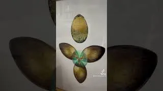 Miniature : On vous présente presque tous nos Minalima !