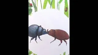 Miniature : Pas de géant (extrait)  Anaïs Lambert | petites bêtes du jardin | jouer dehors | biodiversité