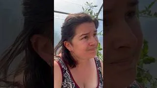Miniature : Le fameux débat manger "vegan transformé" vs"animaux locaux"...